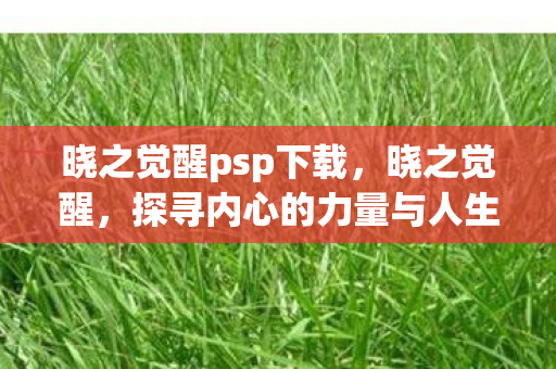 晓之觉醒psp下载，晓之觉醒，探寻内心的力量与人生的意义