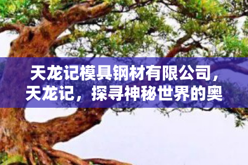 天龙记模具钢材有限公司，天龙记，探寻神秘世界的奥秘