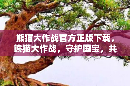 熊猫大作战官方正版下载，熊猫大作战，守护国宝，共筑和谐家园