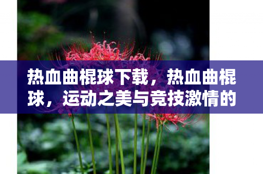 热血曲棍球下载，热血曲棍球，运动之美与竞技激情的完美结合