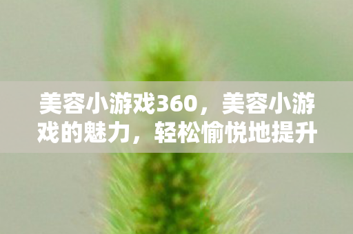 美容小游戏360，美容小游戏的魅力，轻松愉悦地提升你的美妆技巧
