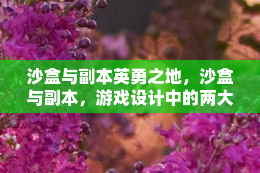 沙盒与副本英勇之地，沙盒与副本，游戏设计中的两大核心要素