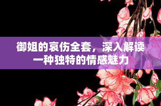 御姐的哀伤全套，深入解读一种独特的情感魅力
