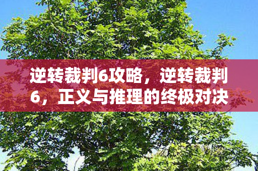 逆转裁判6攻略，逆转裁判6，正义与推理的终极对决