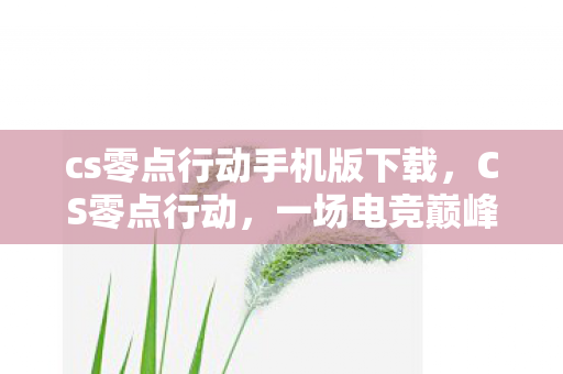 cs零点行动手机版下载，CS零点行动，一场电竞巅峰的对决