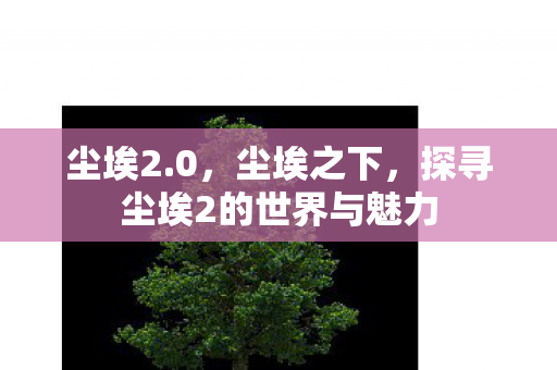 尘埃2.0，尘埃之下，探寻尘埃2的世界与魅力