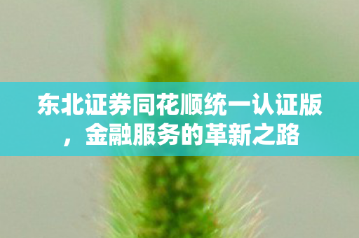 东北证券同花顺统一认证版，金融服务的革新之路