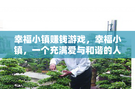 幸福小镇赚钱游戏，幸福小镇，一个充满爱与和谐的人间乐园
