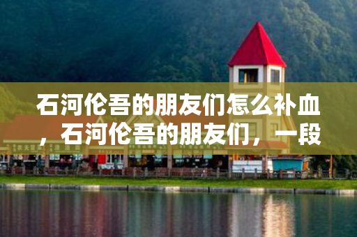 石河伦吾的朋友们怎么补血，石河伦吾的朋友们，一段真挚的友情故事