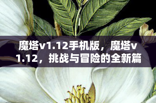 魔塔v1.12手机版，魔塔v1.12，挑战与冒险的全新篇章