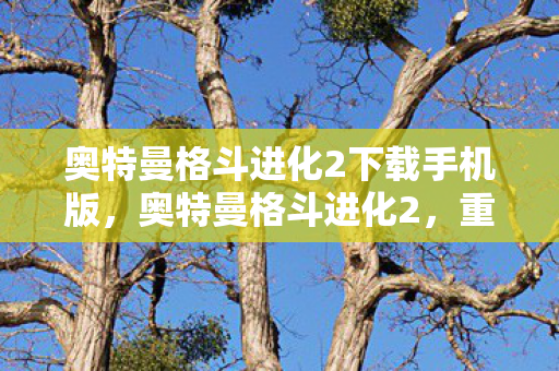 奥特曼格斗进化2下载手机版，奥特曼格斗进化2，重温经典，体验热血战斗