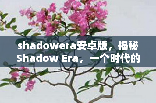 shadowera安卓版，揭秘Shadow Era，一个时代的暗影之谜
