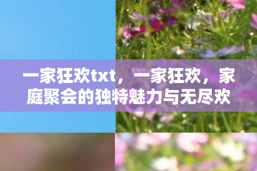 一家狂欢txt，一家狂欢，家庭聚会的独特魅力与无尽欢乐