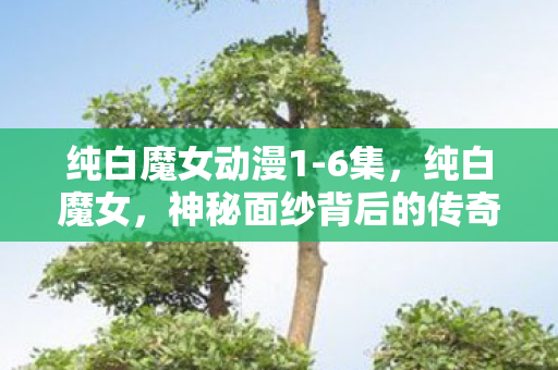 纯白魔女动漫1-6集，纯白魔女，神秘面纱背后的传奇故事