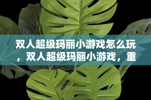 双人超级玛丽小游戏怎么玩，双人超级玛丽小游戏，重温经典，乐趣无穷