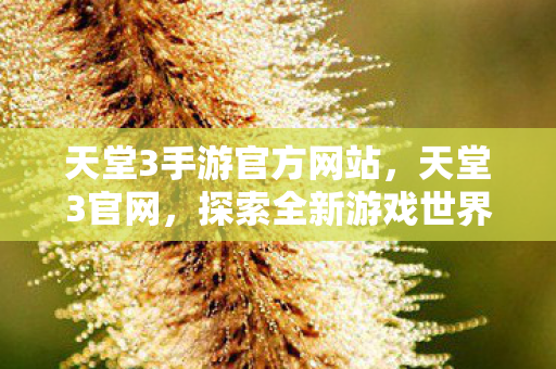 天堂3手游官方网站，天堂3官网，探索全新游戏世界的门户