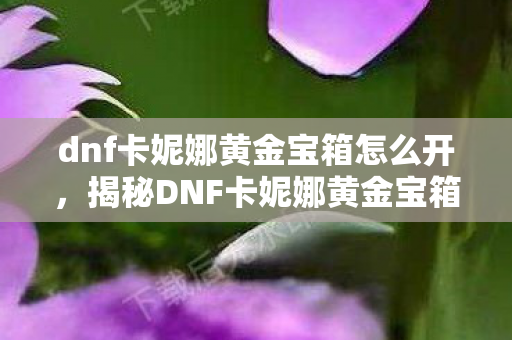 dnf卡妮娜黄金宝箱怎么开，揭秘DNF卡妮娜黄金宝箱，神秘宝藏与探险之旅