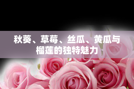 秋葵、草莓、丝瓜、黄瓜与榴莲的独特魅力