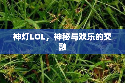 神灯LOL，神秘与欢乐的交融