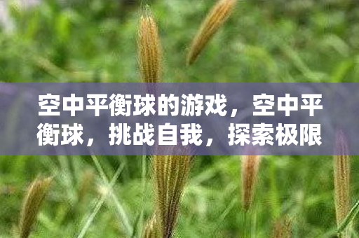 空中平衡球的游戏，空中平衡球，挑战自我，探索极限