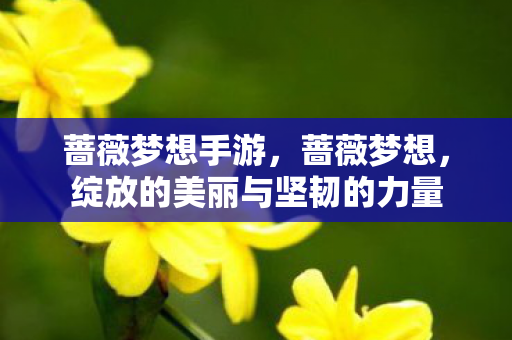 蔷薇梦想手游，蔷薇梦想，绽放的美丽与坚韧的力量