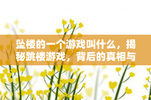 坠楼的一个游戏叫什么，揭秘跳楼游戏，背后的真相与警示