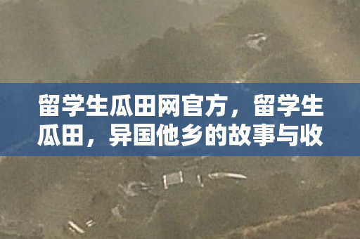 留学生瓜田网官方，留学生瓜田，异国他乡的故事与收获