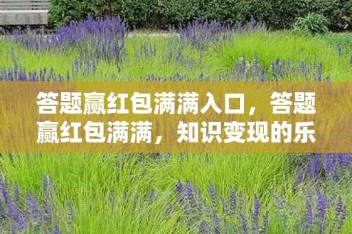 答题赢红包满满入口，答题赢红包满满，知识变现的乐趣无穷