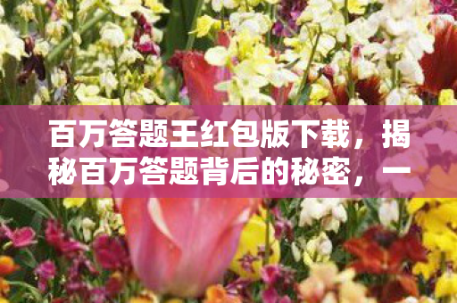 百万答题王红包版下载，揭秘百万答题背后的秘密，一场知识与智慧的较量
