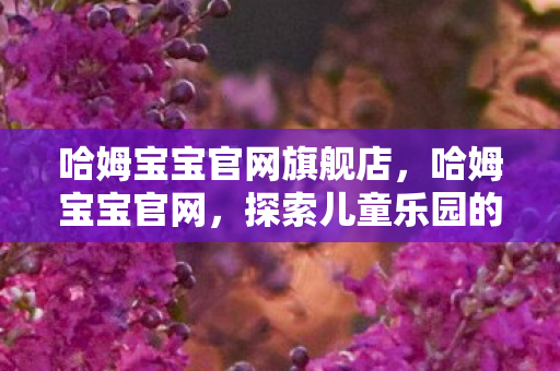 哈姆宝宝官网旗舰店，哈姆宝宝官网，探索儿童乐园的无限魅力