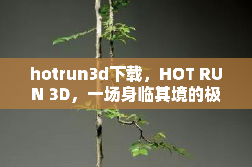 hotrun3d下载，HOT RUN 3D，一场身临其境的极限挑战