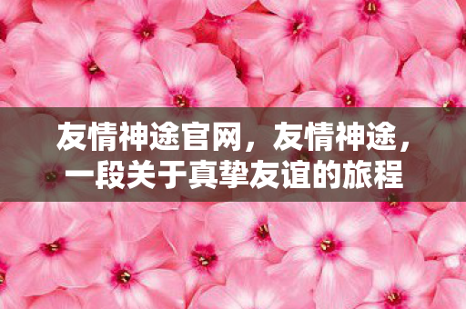 友情神途官网，友情神途，一段关于真挚友谊的旅程