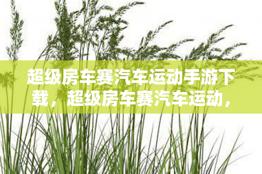 超级房车赛汽车运动手游下载，超级房车赛汽车运动，速度与激情的极致展现