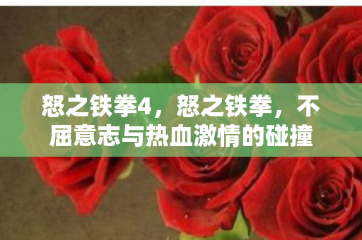 怒之铁拳4，怒之铁拳，不屈意志与热血激情的碰撞