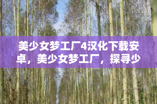 美少女梦工厂4汉化下载安卓，美少女梦工厂，探寻少女成长之路的无限魅力
