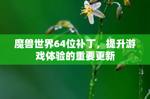 魔兽世界64位补丁，提升游戏体验的重要更新