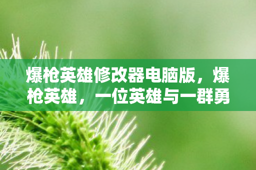 爆枪英雄修改器电脑版，爆枪英雄，一位英雄与一群勇士的荣耀之战