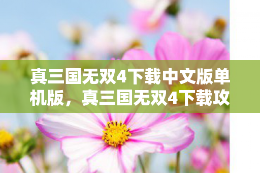 真三国无双4下载中文版单机版，真三国无双4下载攻略及游戏简介