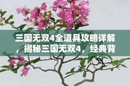 三国无双4全道具攻略详解，揭秘三国无双4，经典背后的故事与策略深度解析