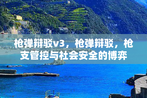 枪弹辩驳v3，枪弹辩驳，枪支管控与社会安全的博弈