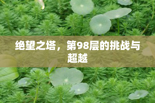 绝望之塔，第98层的挑战与超越
