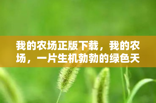 我的农场正版下载，我的农场，一片生机勃勃的绿色天地