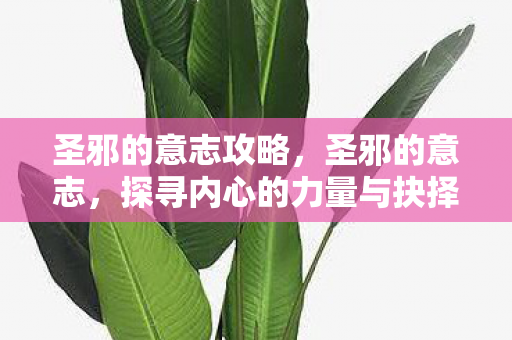 圣邪的意志攻略，圣邪的意志，探寻内心的力量与抉择