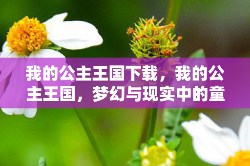 我的公主王国下载，我的公主王国，梦幻与现实中的童话世界