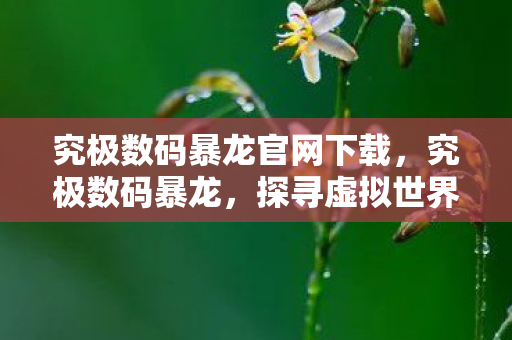 究极数码暴龙官网下载，究极数码暴龙，探寻虚拟世界的极致魅力