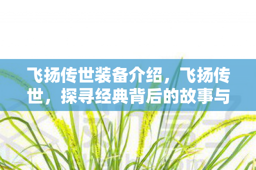 飞扬传世装备介绍，飞扬传世，探寻经典背后的故事与传承价值