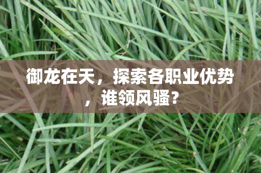 御龙在天，探索各职业优势，谁领风骚？