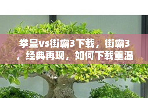 拳皇vs街霸3下载，街霸3，经典再现，如何下载重温游戏初心？