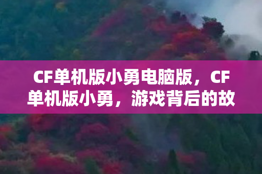 CF单机版小勇电脑版，CF单机版小勇，游戏背后的故事与魅力