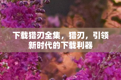 下载猎刃全集，猎刃，引领新时代的下载利器